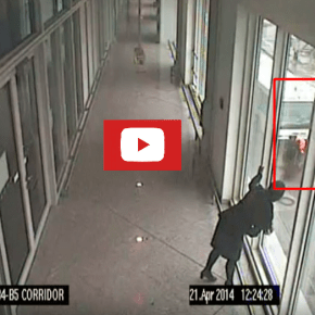 Την σκότωσαν και ζητάνε και τα ρέστα! Η άτυχη μητέρα τριών παιδιών [ΠΡΟΣΟΧΗ ΣΚΛΗΡΟ&nbsp;ΒΙΝΤΕΟ]