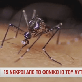 Ιός Δυτικού Νείλου: 15 νεκροί – Τι πρέπει να γνωρίζετε – Οδηγίες προστασίας από τον παθολόγο Λέπουρα&nbsp;[ΒΙΝΤΕΟ]