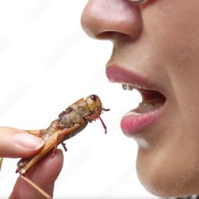 Διατροφική βόμβα στην Ευρώπη – Φαραντούρης: Παρέμβαση στην Κομισιόν για τη χρήση εντόμων και σκουληκιών στα&nbsp;τρόφιμα